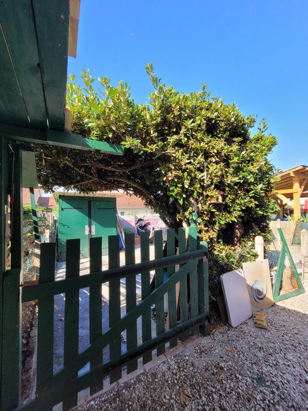 Maison - 56 m² - 3 pièces