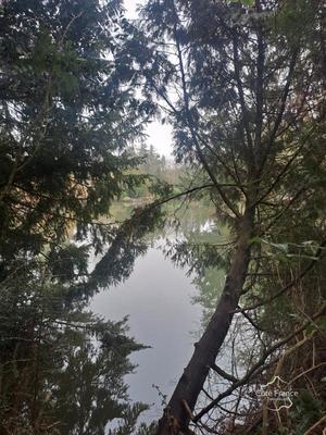 Local commercial - 739 m²