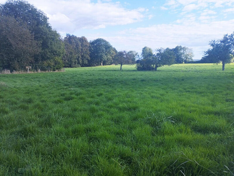 Terrain - 20 000 m²