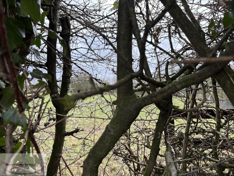 Terrain constructible - 943 m²