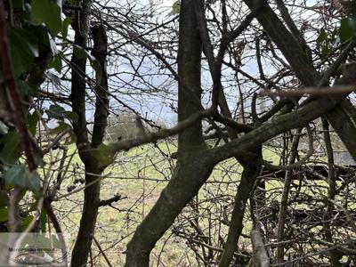 Terrain constructible - 943 m²