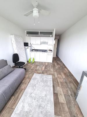 Studio - 24 m² - 1 pièce