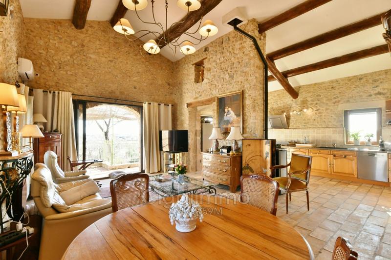 Maison en pierre - 225 m² - 7 pièces