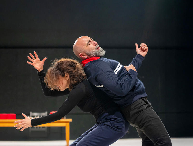 Spectacle : Don Quichotte, l’Homme à la Tâche