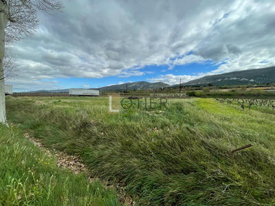 Terrain de loisirs - 1 400 m²