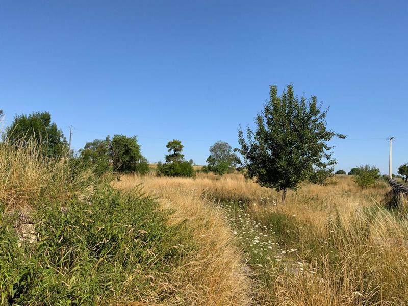 Maison - 269 m² - 7 pièces