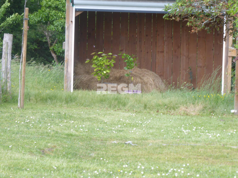 Propriété - 170 m² - 7 pièces