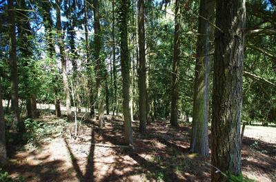 Terrain de loisirs - 2 663 m²