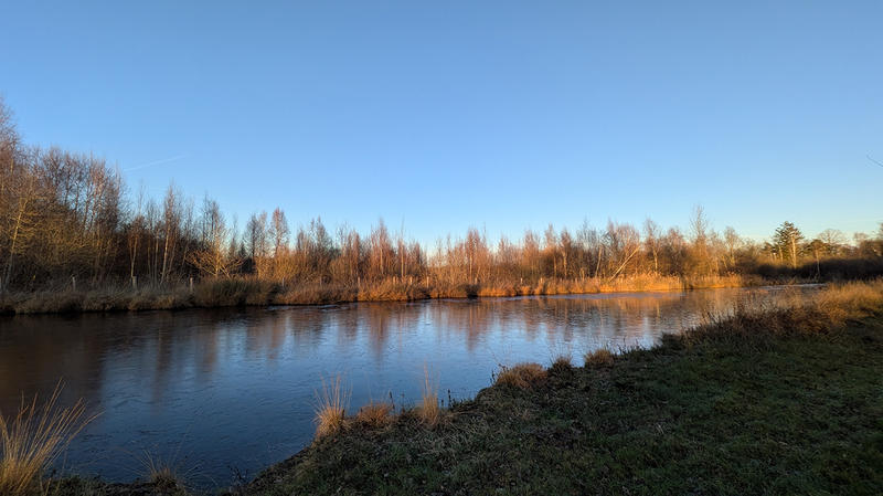Sortie nature à Liesse-Notre-Dame : "Monde de la nuit"