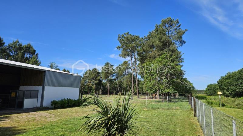 Terrain agricole - 10 000 m²