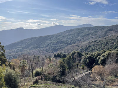 Appartement - 120 m² - 5 pièces