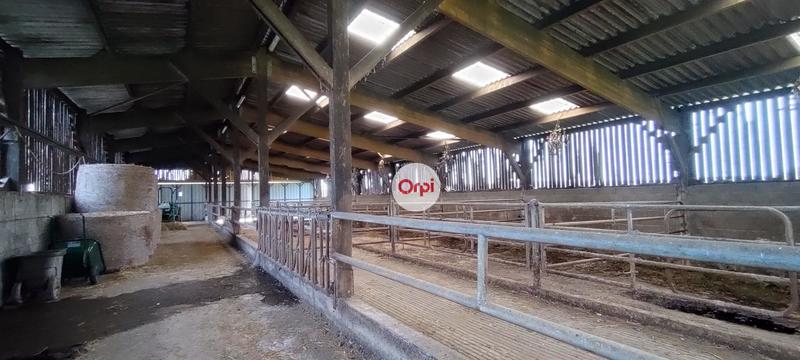 Ferme - 105 m² - 4 pièces