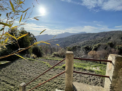 Appartement - 120 m² - 5 pièces