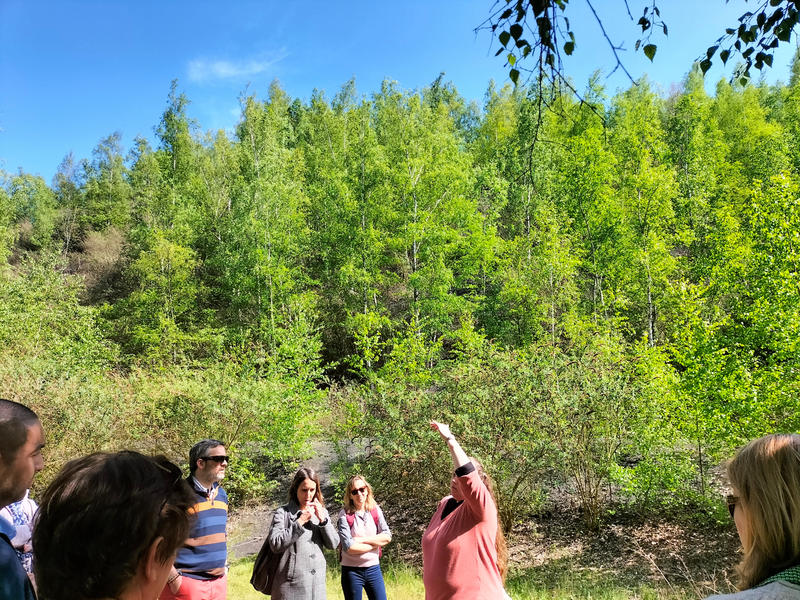 Rando-découverte - le terril de l'Escarpelle