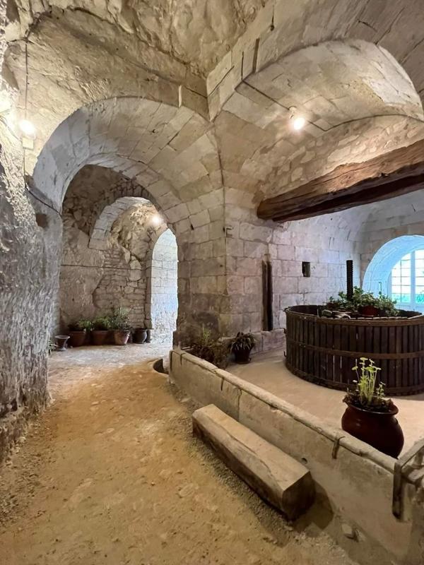 Manoir - 800 m² - 15 pièces