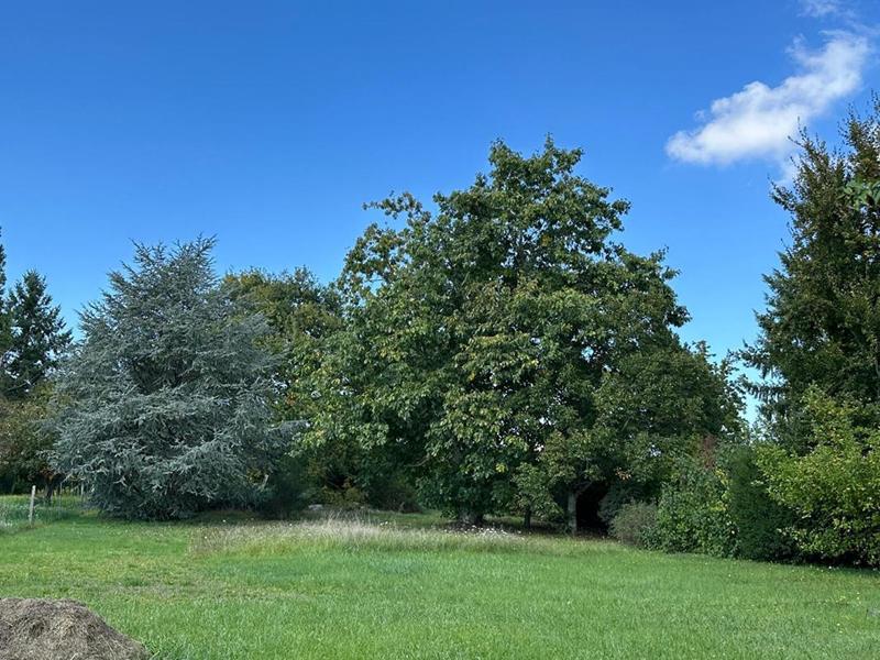 Maison - 151 m² - 7 pièces