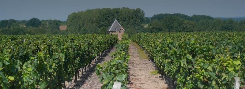 Domaine Nairaud Suberville