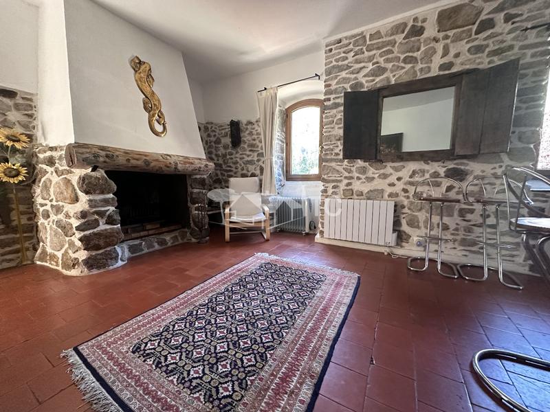 Maison en pierre - 279 m² - 10 pièces