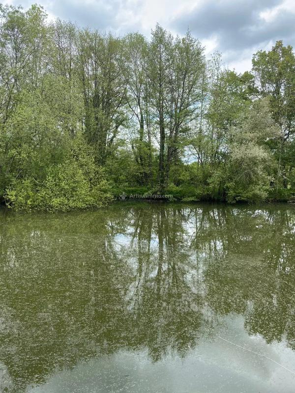 Terrain - 16 275 m²