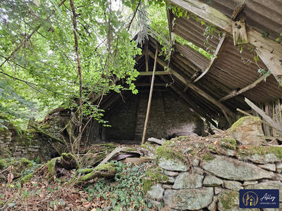 Maison ancienne - 30 m² - 1 pièce