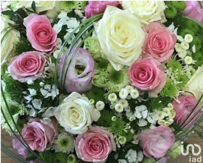 Local commercial - 54 m²