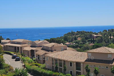 Appartement - 26 m² - 1 pièce