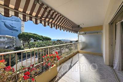 Appartement - 30 m² - 1 pièce