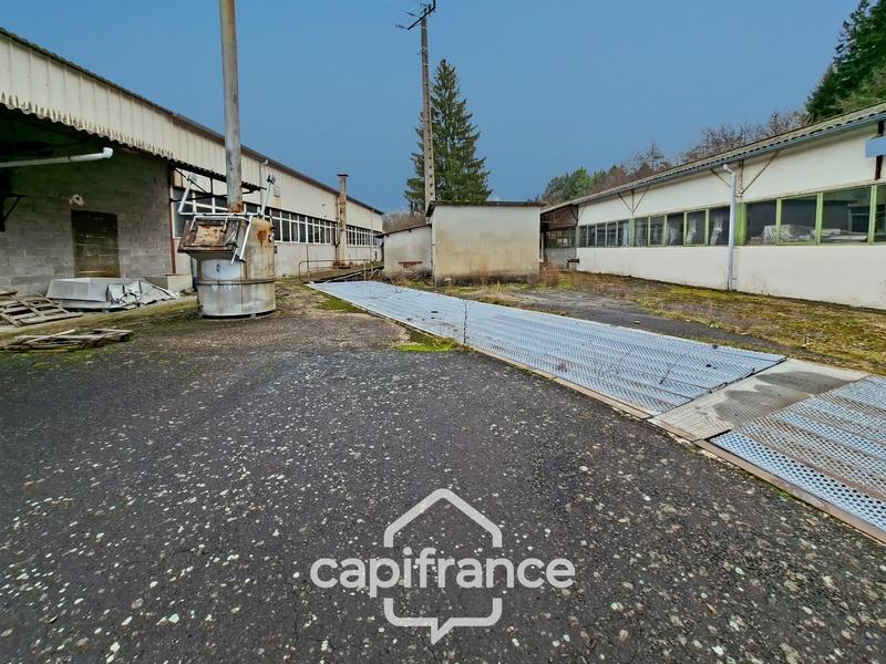 Bureau - 3 800 m² - 6 pièces