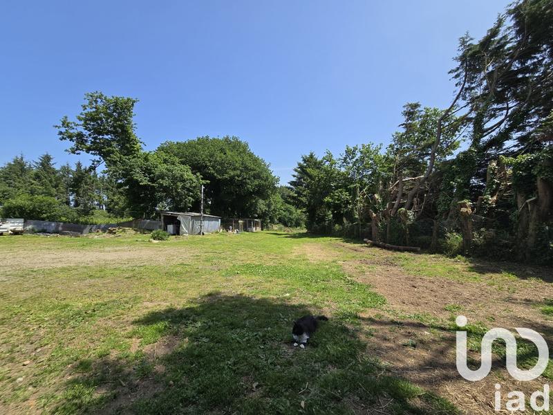 Maison - 66 m² - 3 pièces