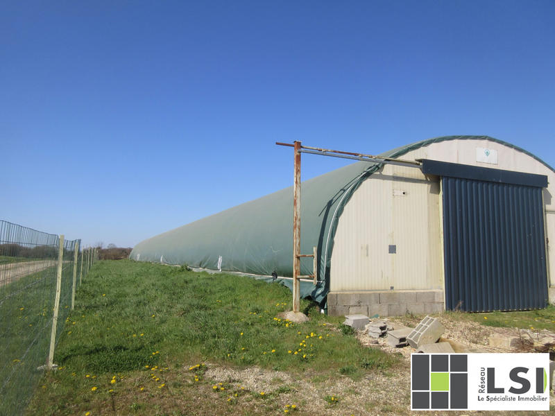 Terrain agricole - 4 000 m²