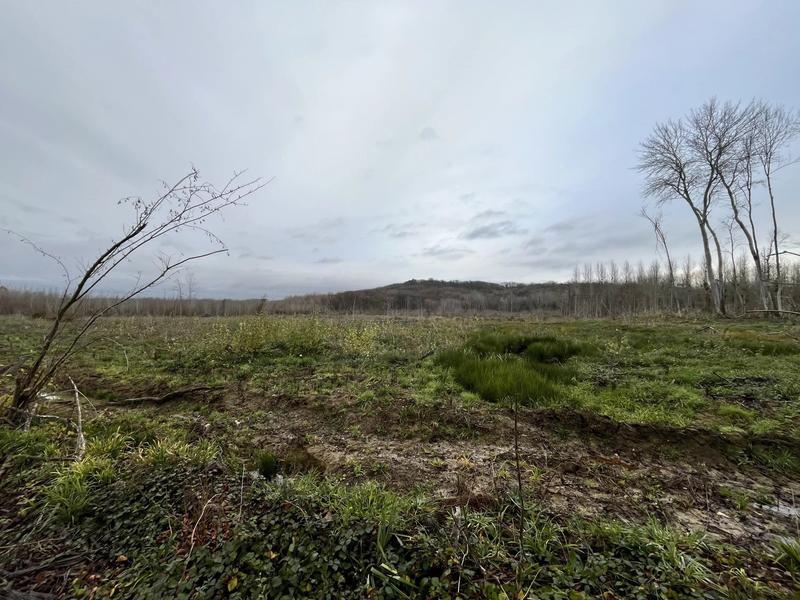 Terrain - 110 312 m²