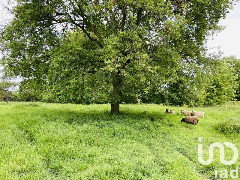 Maison de campagne - 94 m² - 4 pièces