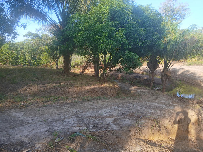 Terrain agricole - 10 004 m²