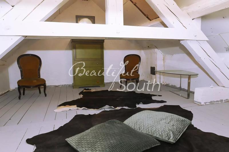 Hôtel particulier - 300 m² - 8 pièces