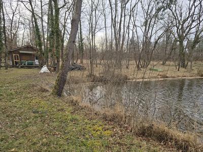 Gîte chalet avec étang location