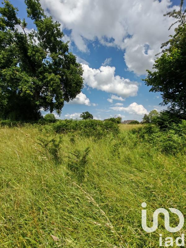 Terrain - 31 982 m²