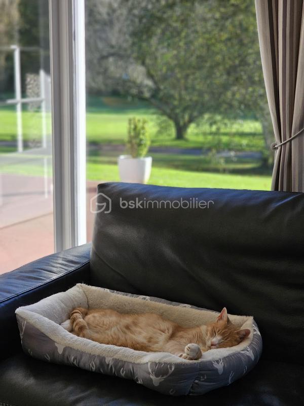 Chaumière - 470 m² - 9 pièces