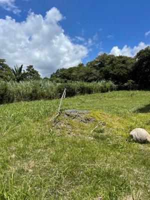 Local commercial - 580 m²