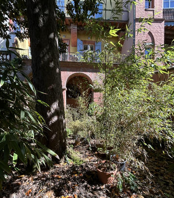 Appartement - 51 m² - 2 pièces