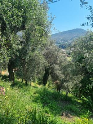 Terrain constructible - 1 161 m²