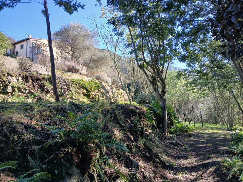 Maison - 42 m² - 3 pièces