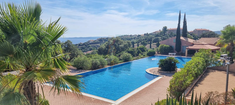 Appartement - 36 m² - 2 pièces