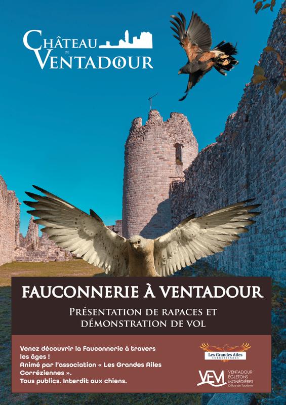 Fauconnerie au Château de Ventadour