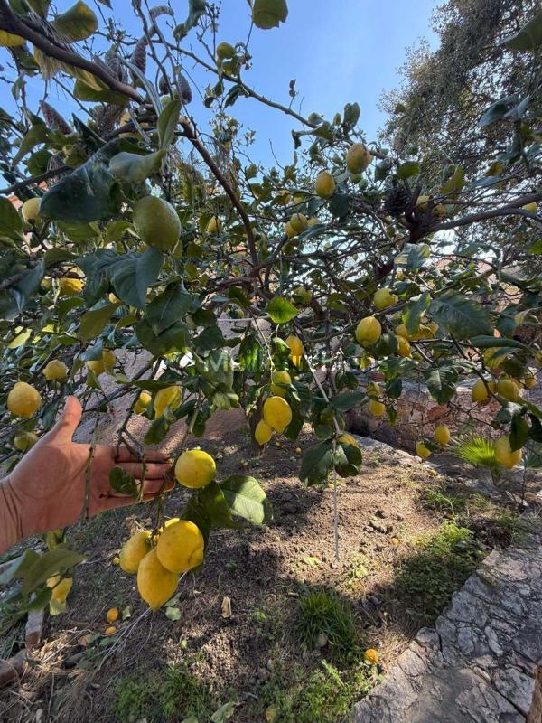 Villa - 95 m² - 3 pièces