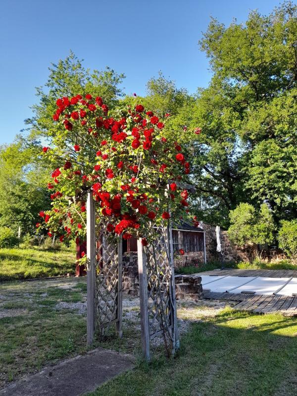 Maison en pierre - 115 m² - 4 pièces