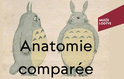 Visite « Flash »