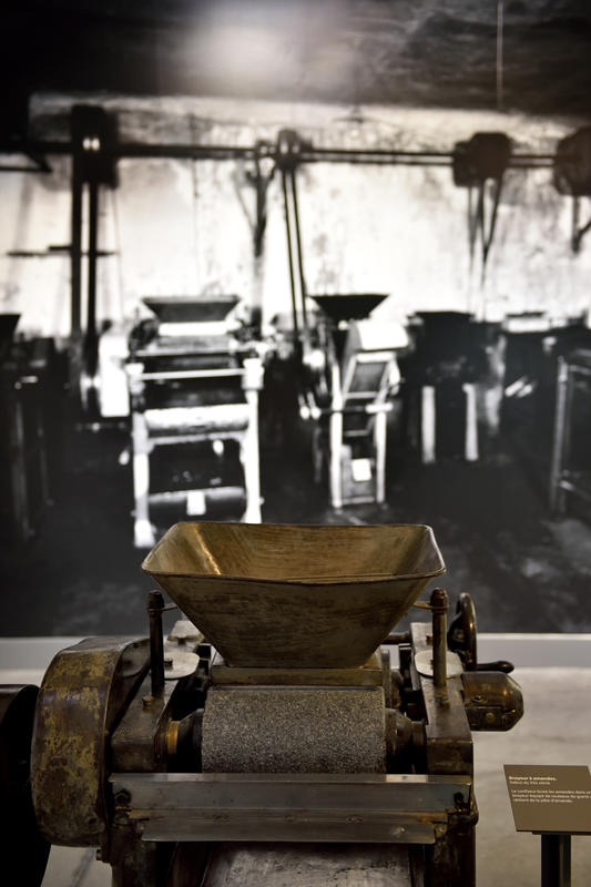 Visite guidée gourmande du Musée du Calisson suivie d'une dégustation