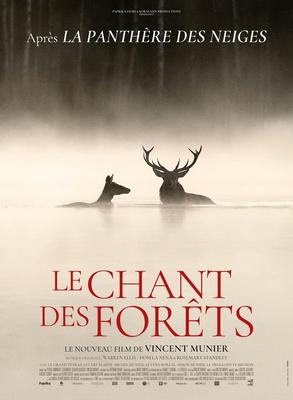Ciné-débat - le Chant des forêts