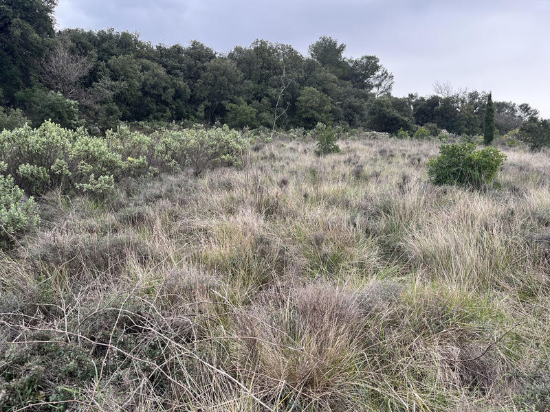 Terrain agricole - 9 590 m²