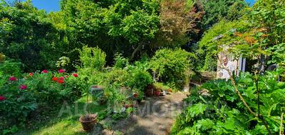 Maison - 250 m² - 9 pièces